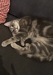 IMG_5013