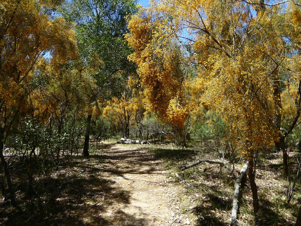 Dangers Gorge