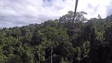 The Gibbon Experience