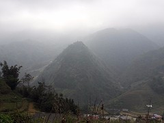 Mistig sapa