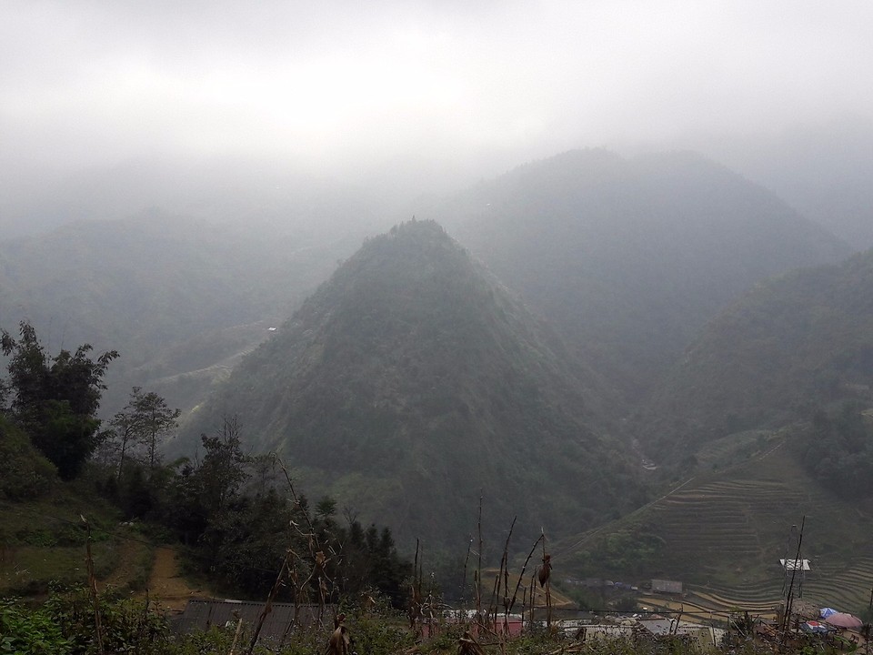 Mistig sapa