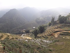 Sapa