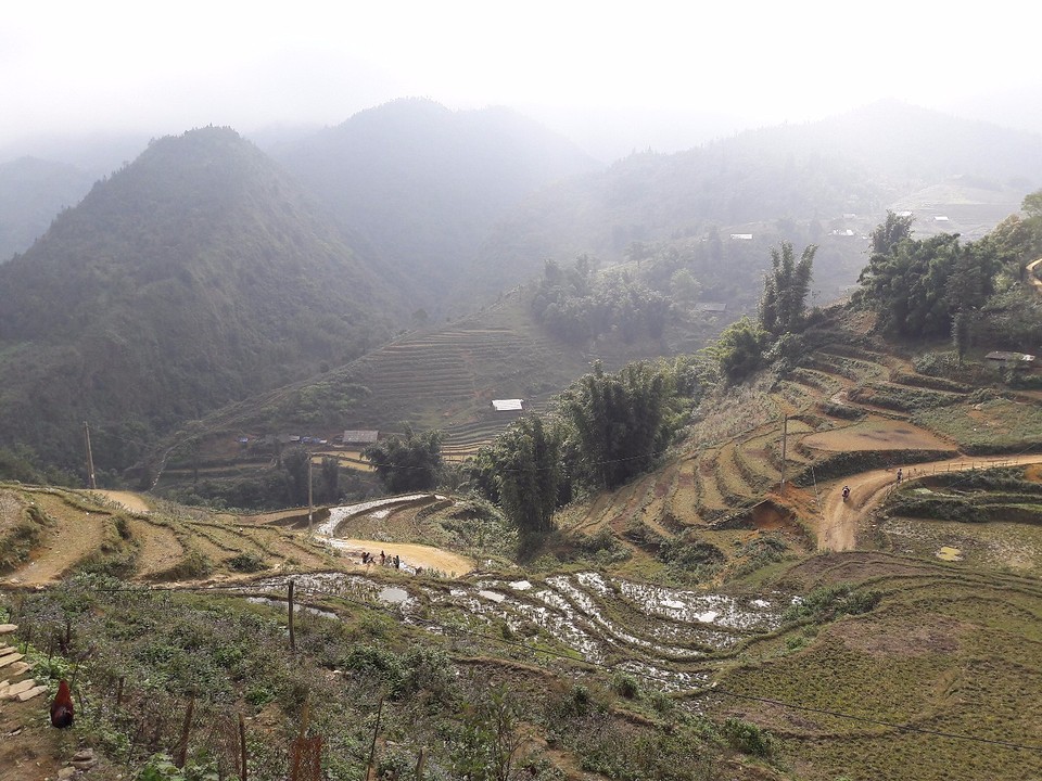 Sapa