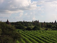 Bagan