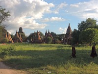 Super veel pagoda's