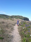 Veel naar het strand geweest in onze laatste week NZ