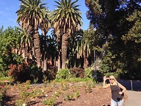 Petra in Perth