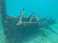 We zien een scheepswrak tijdens het snorkelen