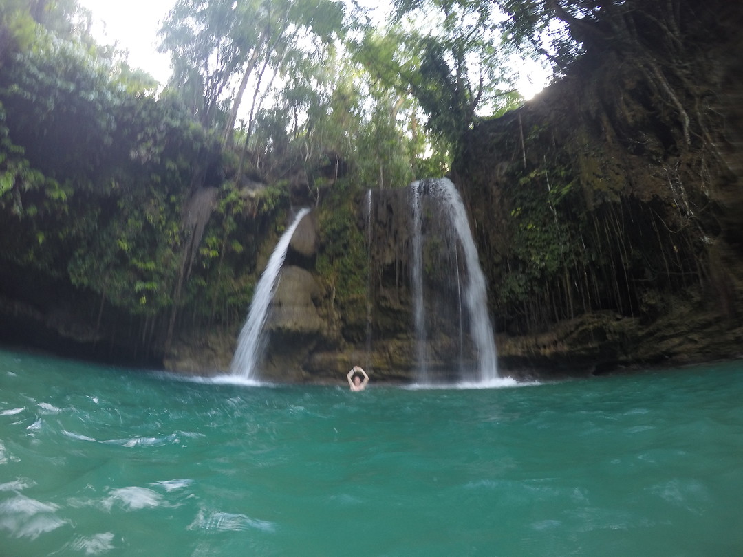 Kawasan Falls again!