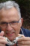 Oester