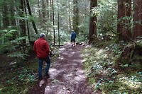 Wandeling