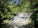 Leura Cascades