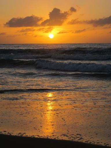 Zonsopkomst op Manly beach