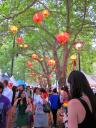 Belmore Park - Chinese New Year festival