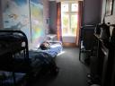 Pinguinthema in Hostel: Noah's Ark.