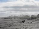 Black sand beach, niet uitnodigend om te zonnen..