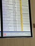 IMG_1591