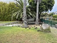IMG_0258