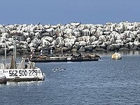 IMG_0274