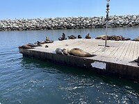 IMG_0291