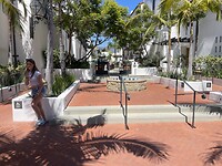 IMG_0344