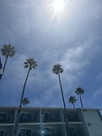 IMG_1851