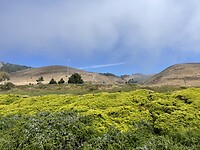 IMG_0357