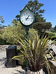 IMG_1894