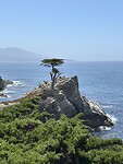 IMG_1891