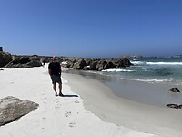 IMG_0460