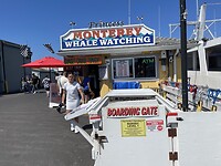 IMG_0494