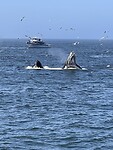 IMG_0504