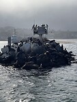 IMG_0558