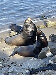 IMG_0559