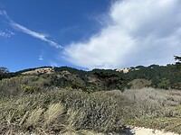 IMG_1980