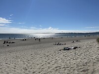 IMG_1978
