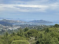 IMG_1977