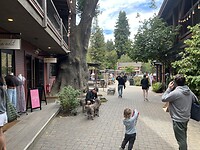 IMG_0717