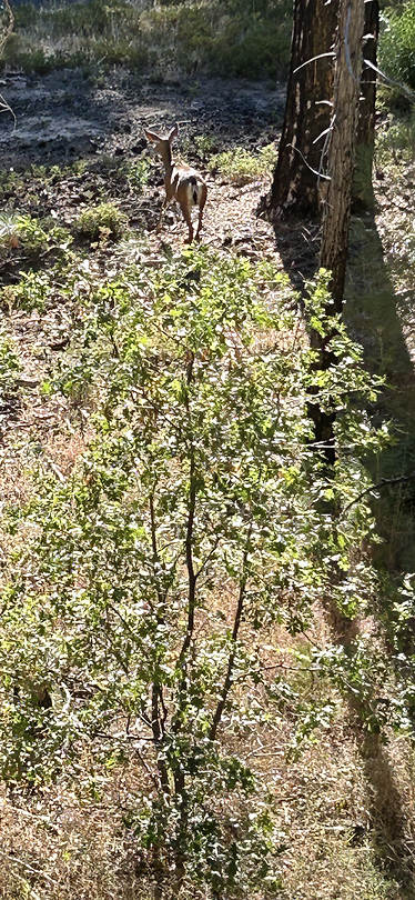 IMG_2019