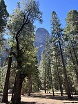 IMG_2038