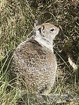 IMG_0824
