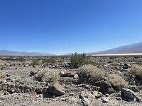 IMG_0876