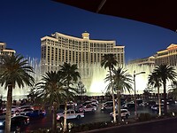 IMG_2140