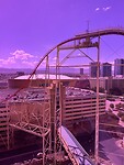 IMG_2123