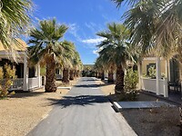 IMG_0940