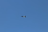 9D17E054-3923-4409-B3BD-48E1419AC768