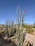 IMG_1324