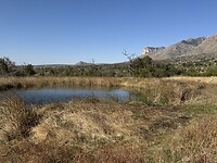 IMG_1646