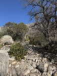 IMG_1648