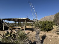 IMG_1639